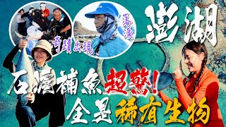 等待五年，澎湖奇觀再現，眾人都哭了！｜澎湖人的捕魚大法「石滬」竟能捕捉到鯊魚？！｜修石滬匠師各個身懷絕技，日本特地跨國來拜師學藝！【記者旅遊中】