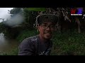 Musim banjir pun wan mancing | ada rezeki ikan sisik #wms-348