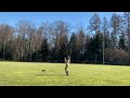 Sofia (Line Dance Demo)