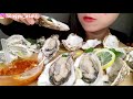 oyster asmr *part2* no talking mukbang 석화 굴 노토킹 이팅사운드