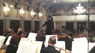 Beethoven Symphony No 1;conductor Taras Demchyshyn  Savaria Symphony Orchestra 指揮 タラス デムチシン