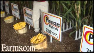 Producers Hybrids: Corn Hybrid Presentation