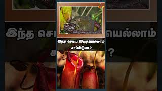 இந்த செடி…இதையெல்லாம் சாப்பிடுமா?  | m tamil