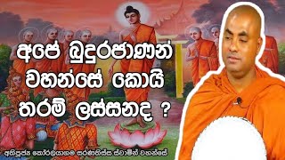 අපේ බුදුරජාණන් වහන්සේ කොයි තරම් ලස්සනද | Koralayagama Saranathissa Thero | Dharma Pradeepaya