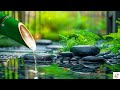 Relaxing Music to Soothe Stress, Anxiety, and Depression 🌿 Healing for Mind, Body, and Soul, Bamboo