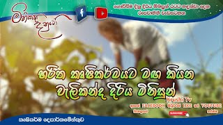 Mihikatha Dinuwo TV Program |හරිත කෘෂිකර්මයට මග කියන වැලිකන්ද දිරිය මිනිසුන්| 2022-02-25 | Krushi Tv