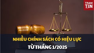 NHIỀU CHÍNH SÁCH CÓ HIỆU LỰC TỪ THÁNG 1/2025