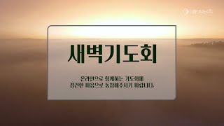 기쁨이되는교회 새벽기도회 | 2023-12-05(화) | 축복의 말과 선행을 도모하는 삶 | 이창재 목사