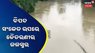 Bhadark Flood News | ଆଖୁଆପଦାରେ ବିପଦ ସଂକେତ ଉପରେ ବୈତରଣୀ ନଦୀର ଜଳସ୍ତର | Odia News