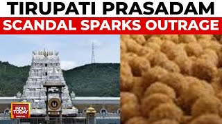 Tirupati Prasadam Scandal: Beef, Pig Fat Found; Political Showdown Ensues