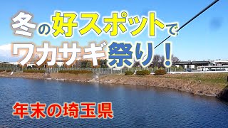 ワカサギ釣り2024-25冬！埼玉県某スポットで大漁か / Winter Pond Smelt Fishing Spot in Saitama