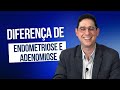 Endometriose e Adenomiose: entenda a diferença