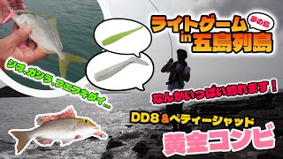 夢の島！長崎県五島列島のライトゲーム！