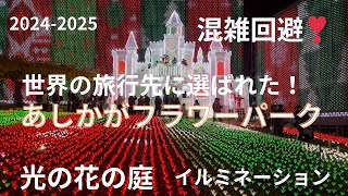 あしかがフラワーパーク イルミネーション 最新！一度は行ってみたい 圧巻