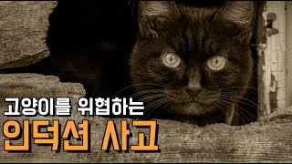 어디서 타는 냄새 안나요? 내 젤리가 타고 있잖아요