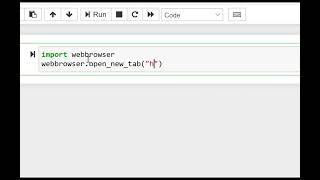 python script to open URL