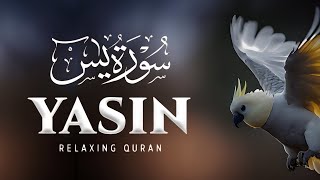 Most beautiful recitation of Surah Yaseen (Yasin) سورة يس ⋮ Zikrullah TV | التوحيد at-tawhid