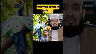 আল্লাহর অপরুপ সৃষ্টি 😲 #allah #duet #miracleofallah #islamicvideo #mizanurrahman #viralvideo #shorts