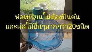 ห่อทุเรียนนวัตกรรมใหม่