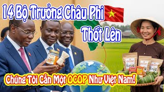14 African Ministers Exclaim: We Need an OCOP Like Vietnam!