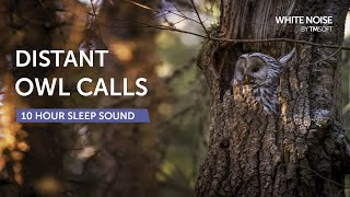 Distant Owl Calls Sleep Sound - 10 Hours - Black Screen