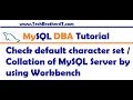 MySQL Workbench Tutorial - Check default character set  Collation of MySQL Server by using Workbench