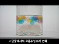 앱사이언스 app science _뿌리는 식물의 입_소금물에서의 고흡수성수지 변화