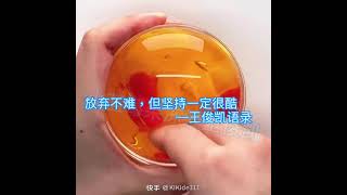 王俊凯语录