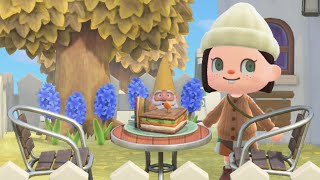 Building an Animal Crossing neighborhood! (Streamed 11/8/22)