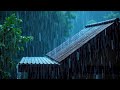 No Ads Rain Sounds for Sleeping - ASMR Rain and Thunder Sounds For Sleeping, Relaxing