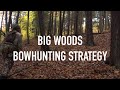 How to Hunt Deer in Big Woods