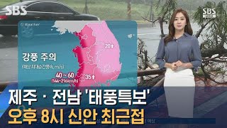 [날씨] 제주 · 전남 '태풍특보'…오후 8시 신안 최근접 / SBS