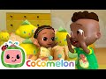 Playing Peek-a-boo with the family | It's Cody Time 🍉 | CoComelon Songs for Kids & Nursery Rhymes