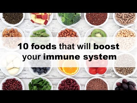 10 Foods That Will Boost Your Immune System 10 Foods That Will Boost Your Immune System