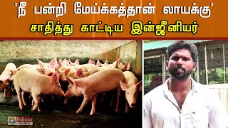 பன்றி வளர்ப்பில் கொடிகட்டி பறக்கும் பொறியியல் பட்டதாரி