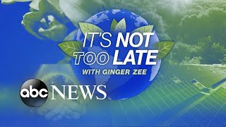 It S Not Too Late Saving The Manatees L Abcnl