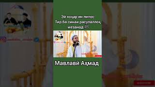 Мавлавӣ Аҳмад #духтарҳои_точик #беҳайё