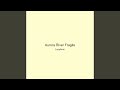 Aurora River Fragile