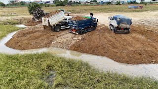 Update Filling Pond Project! Easy Work For Smart Bulldozer Driver To Push Soil Into Deep Water