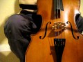 EXCLUSIVE! Cellist (Cello player) breaks a string and goes crazy, losing his mind, spazzing