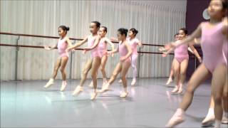 Ainsley RAD Ballet Grade 1 - Spring Points And Petits Jetés (10)