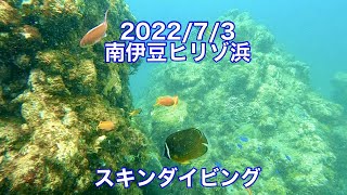 2022/7/3 南伊豆ヒリゾ浜 スキンダイビング