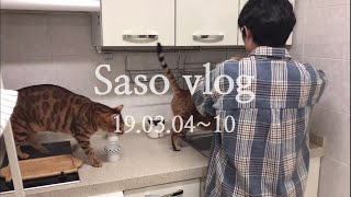 [Saso vlog] 47. 직장인 일상 브이로그, 단조로운 자취 일상, 비웨이브 시위