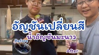 น้ำอัญชันเปลี่ยนสี อัญชันมะนาว | Plawan TV x Ongsah world