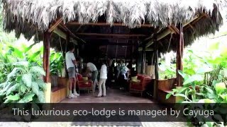 What to expect on a Vacation to Costa Rica? - Lapa Rios Lodge
