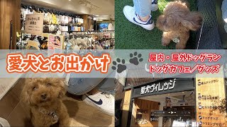 【都内オススメドッグラン】愛犬ヴィレッジに行ってみた！