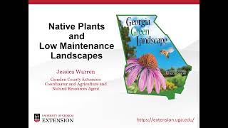 Native Plants (Statewide) and Low Maintenance Landscapes