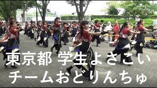 【イベント】東京都　学生よさこいチームおどりんちゅ　２０１９原宿スーパーよさこい★