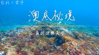 澳底祕境-魚的快樂天堂｜自由潛水｜書生精選｜攻略｜Vlog107