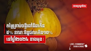 តម្លៃគ្រាប់ចន្ទីឆៅនឹងកើន៥% ខណៈទិន្នផលកើន១០% នៅឆ្នាំ២០២៤ ខាងមុខ!